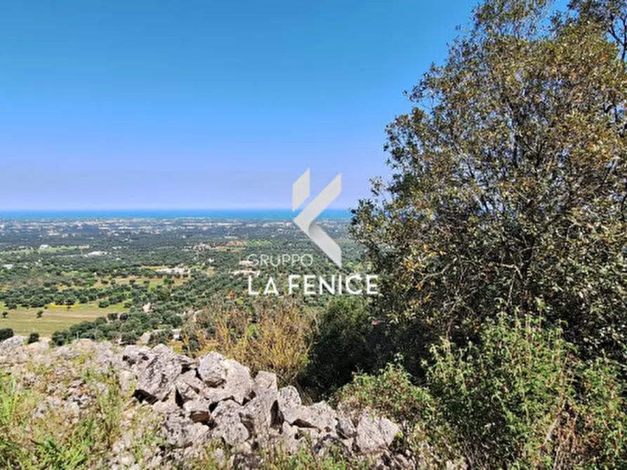 Immagine 13 di Rustico / casale in vendita  in Contrada Gravinella a Fasano