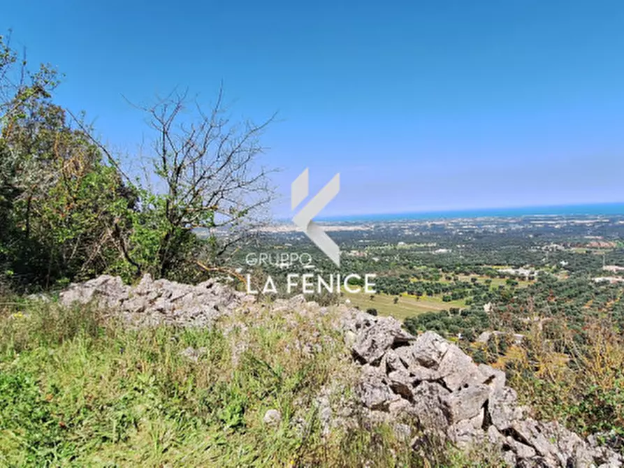 Immagine 14 di Rustico / casale in vendita  in Contrada Gravinella a Fasano