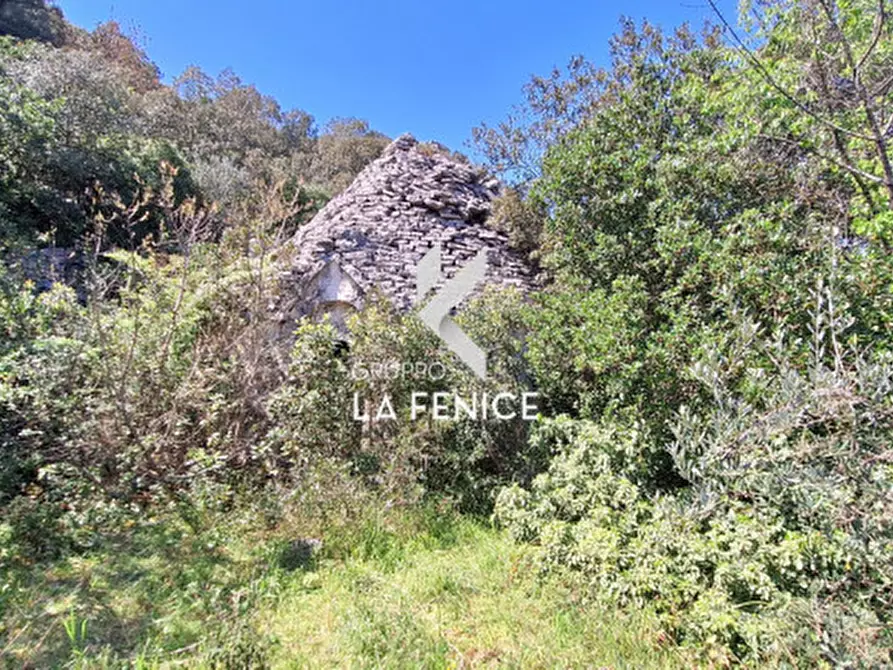 Immagine 17 di Rustico / casale in vendita  in Contrada Gravinella a Fasano