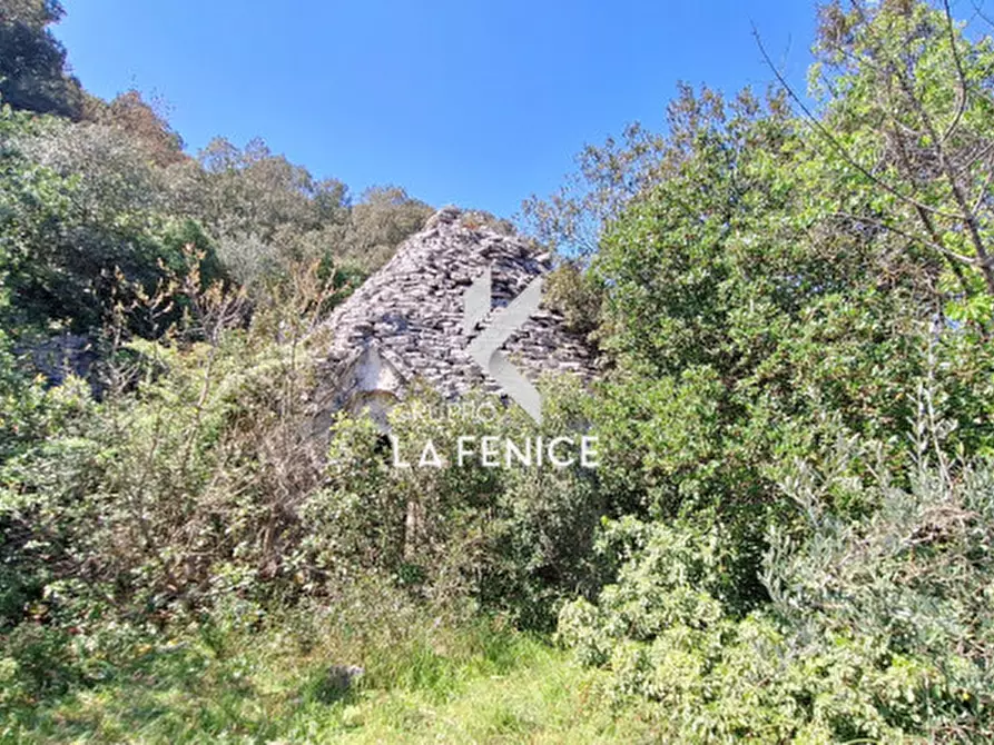 Immagine 18 di Rustico / casale in vendita  in Contrada Gravinella a Fasano