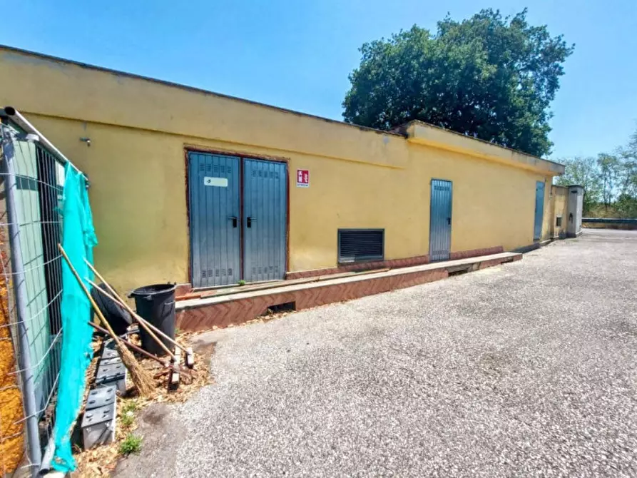 Immagine 27 di Negozio in vendita  in Via Ferdinando Neri, Aranova RM, Italia a Fiumicino