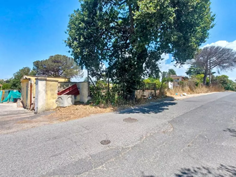 Immagine 21 di Appartamento in vendita  in Via Ferdinando Neri, Aranova RM, Italia a Fiumicino