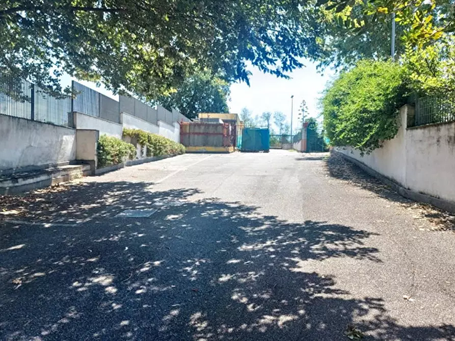 Immagine 3 di Negozio in vendita  in Via Ferdinando Neri, Aranova RM, Italia a Fiumicino