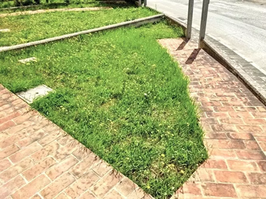 Immagine 9 di Appartamento in vendita  in Via Santo Apollinare, 7, 60030 Monte Roberto AN, Italia a Monte Roberto