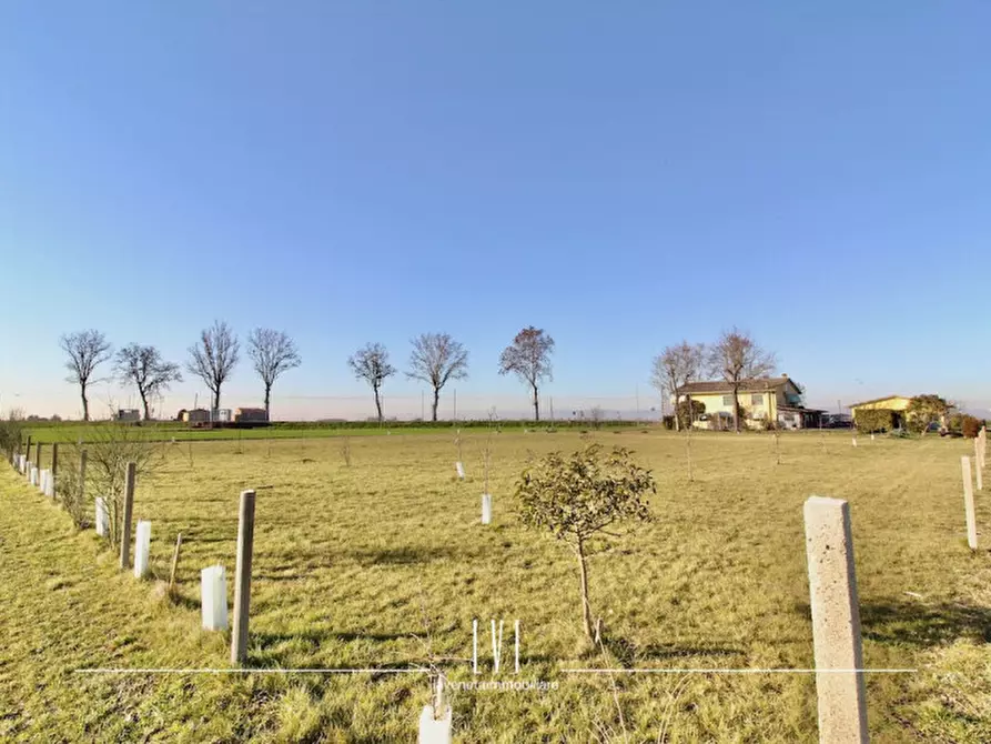 Immagine 45 di Casa indipendente in vendita  in Via Triestina Bassa 202 a Eraclea