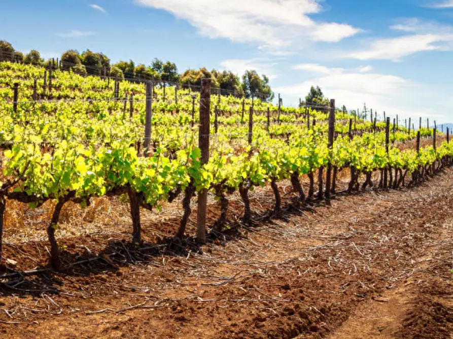Immagine 2 di Terreno in vendita  in Via San Marco a Lonato del Garda