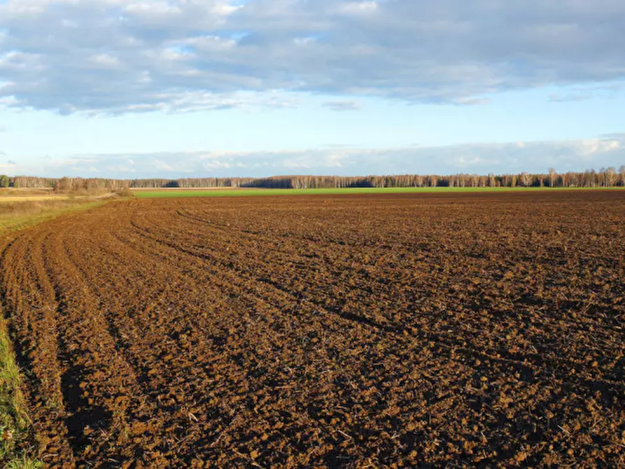 Immagine 5 di Terreno in vendita  in Via San Marco a Lonato del Garda