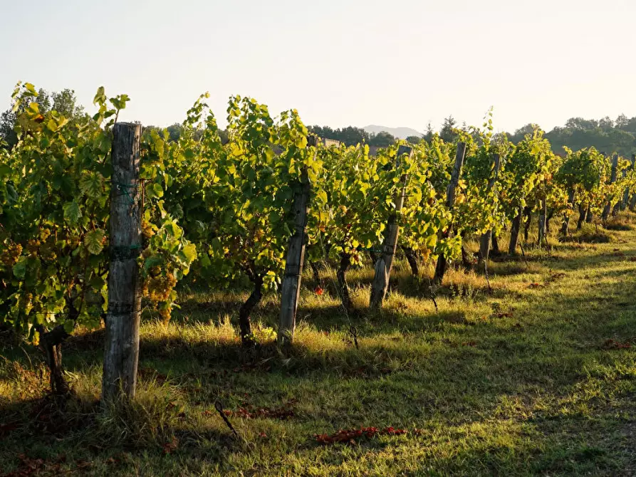 Immagine 9 di Terreno in vendita  in Via San Marco a Lonato del Garda