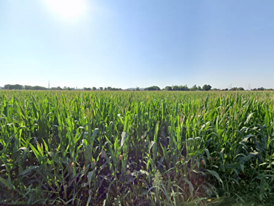 Immagine 5 di Terreno in vendita  in via la pozza a Castiglione Delle Stiviere