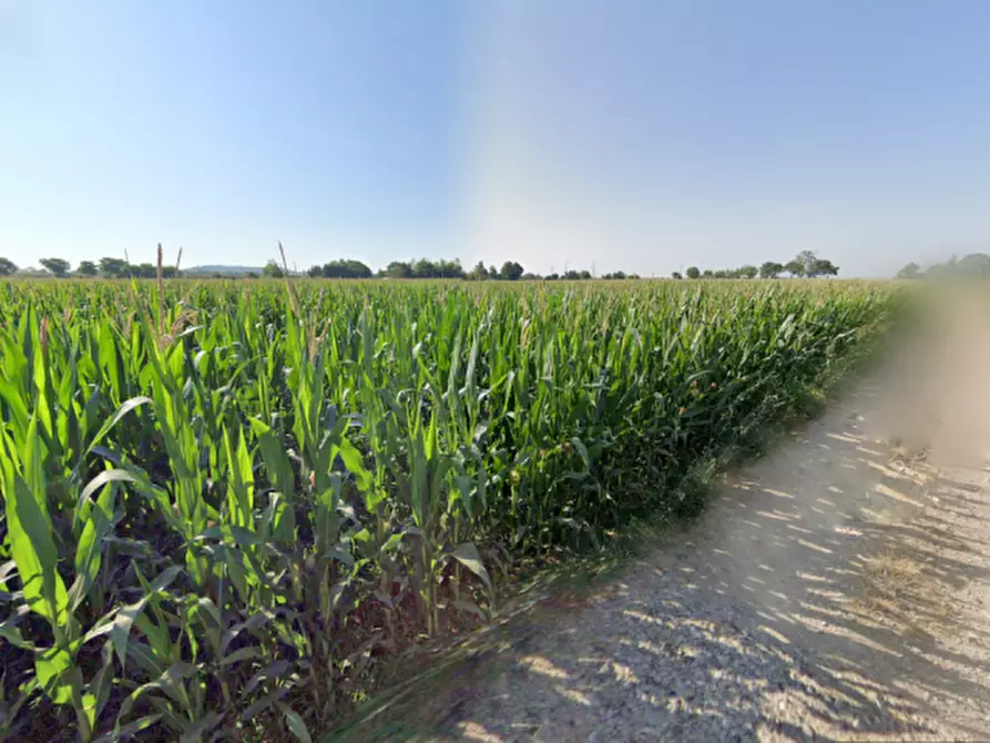 Immagine 7 di Terreno in vendita  in via la pozza a Castiglione Delle Stiviere