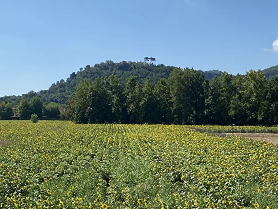 Immagine 1 di Villa in vendita  in Via San Pietro a Abano Terme