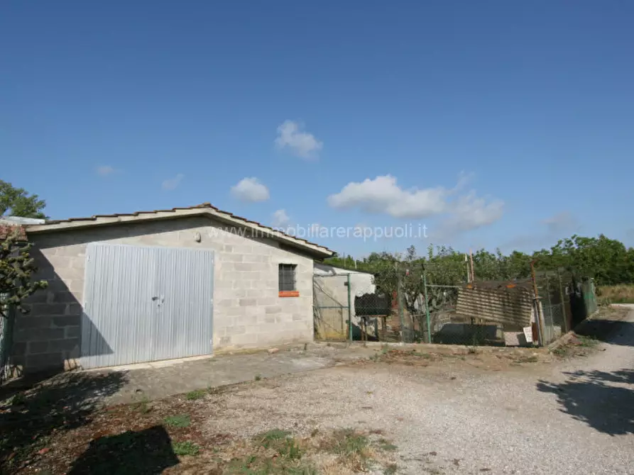 Immagine 1 di Rustico / casale in vendita  a Sinalunga