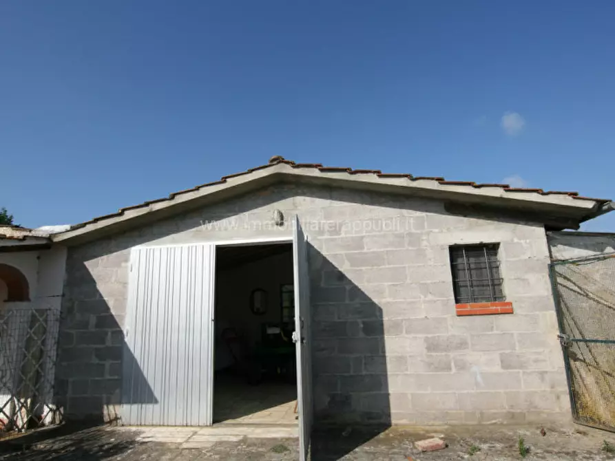 Immagine 2 di Rustico / casale in vendita  a Sinalunga