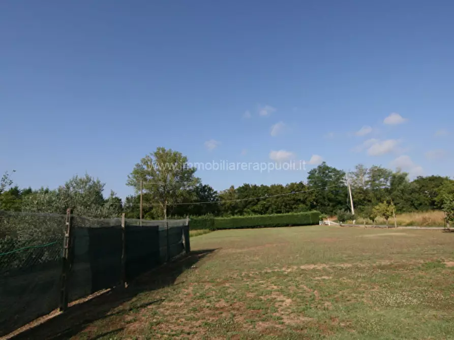 Immagine 3 di Rustico / casale in vendita  a Sinalunga