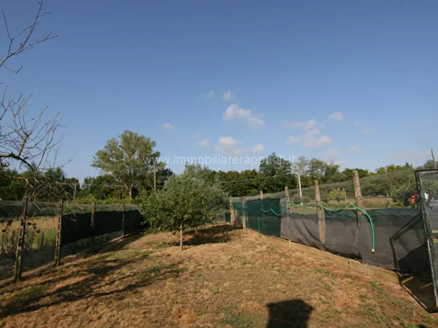 Immagine 4 di Rustico / casale in vendita  a Sinalunga