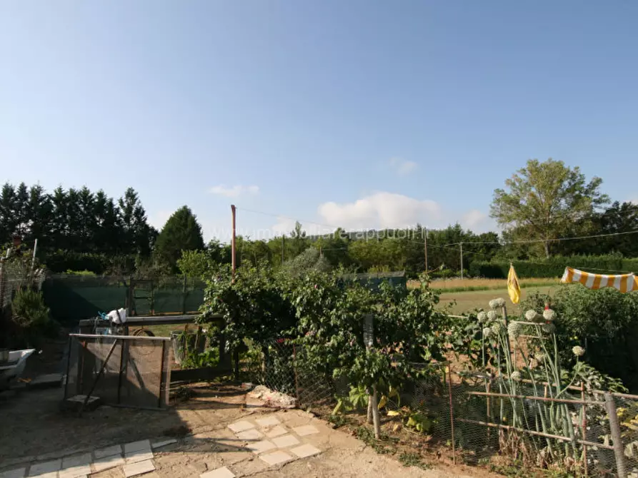 Immagine 6 di Rustico / casale in vendita  a Sinalunga