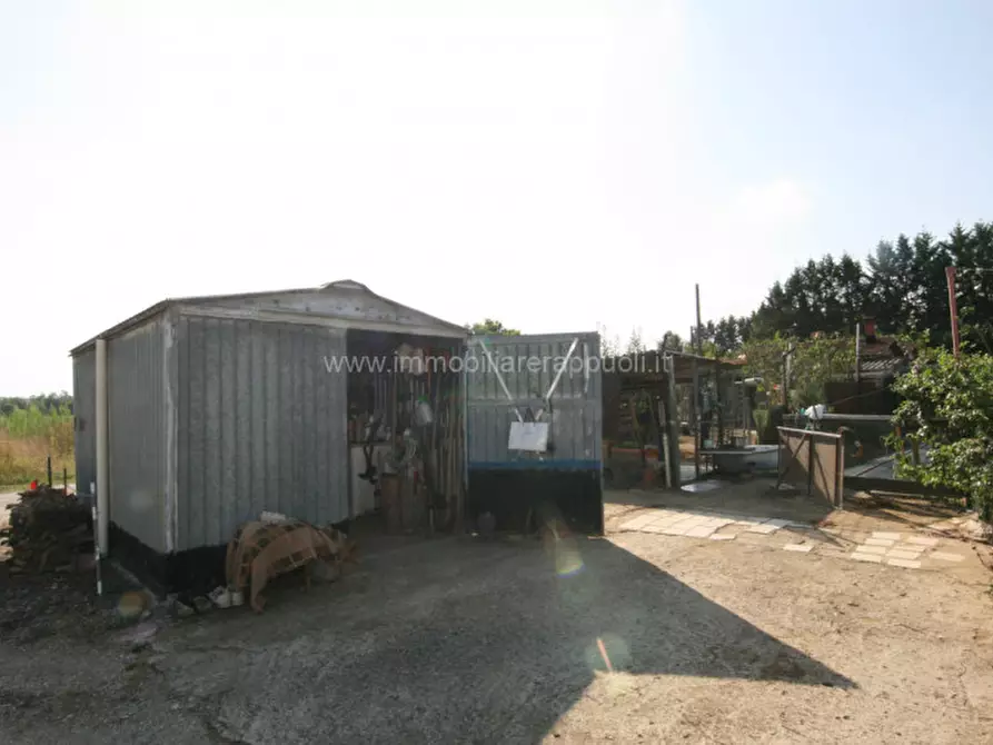 Immagine 7 di Rustico / casale in vendita  a Sinalunga