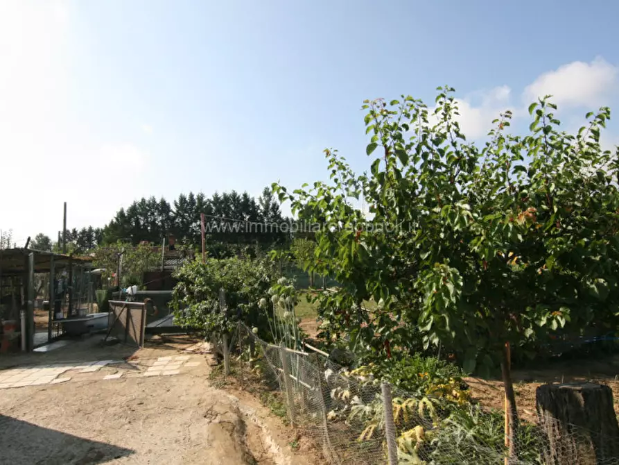 Immagine 8 di Rustico / casale in vendita  a Sinalunga