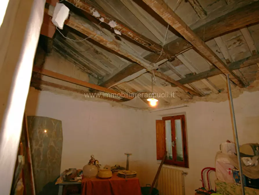 Immagine 3 di Casa indipendente in vendita  a Trequanda