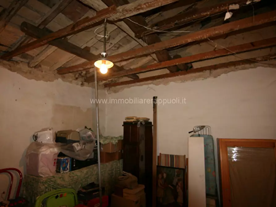 Immagine 4 di Casa indipendente in vendita  a Trequanda