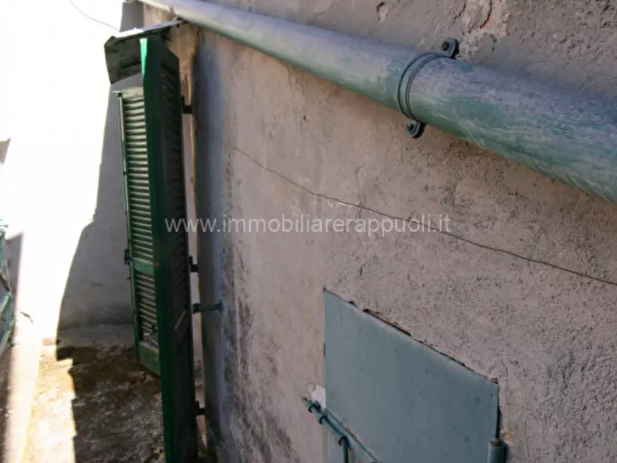 Immagine 9 di Casa indipendente in vendita  a Trequanda