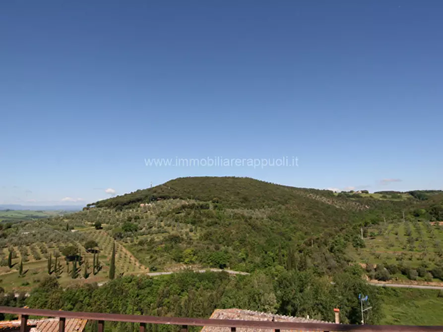 Immagine 11 di Casa indipendente in vendita  a Trequanda