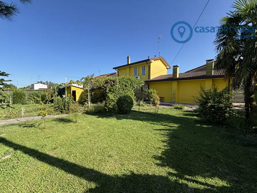 Immagine 4 di Casa indipendente in vendita  a San Martino Di Venezze