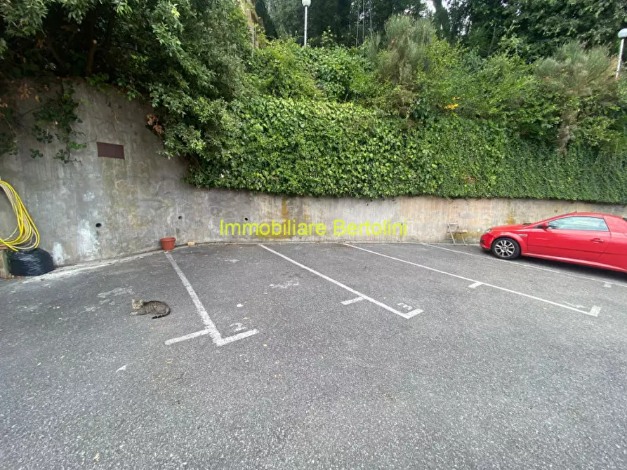 Immagine 13 di Monolocale in vendita  in Strada San Romolo Borello a San Remo