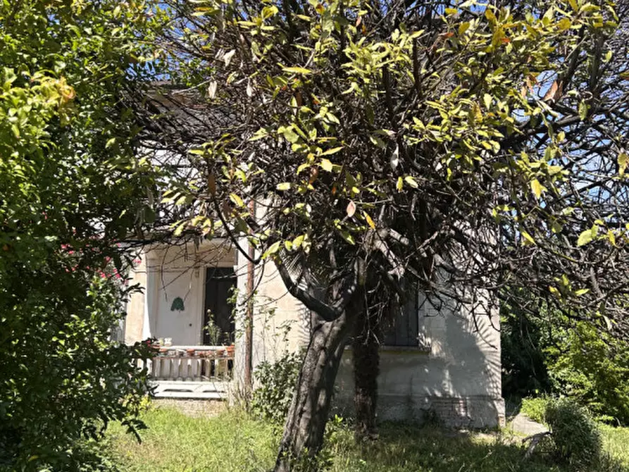 Immagine 3 di Casa indipendente in vendita  in Via Padova a Vigonza