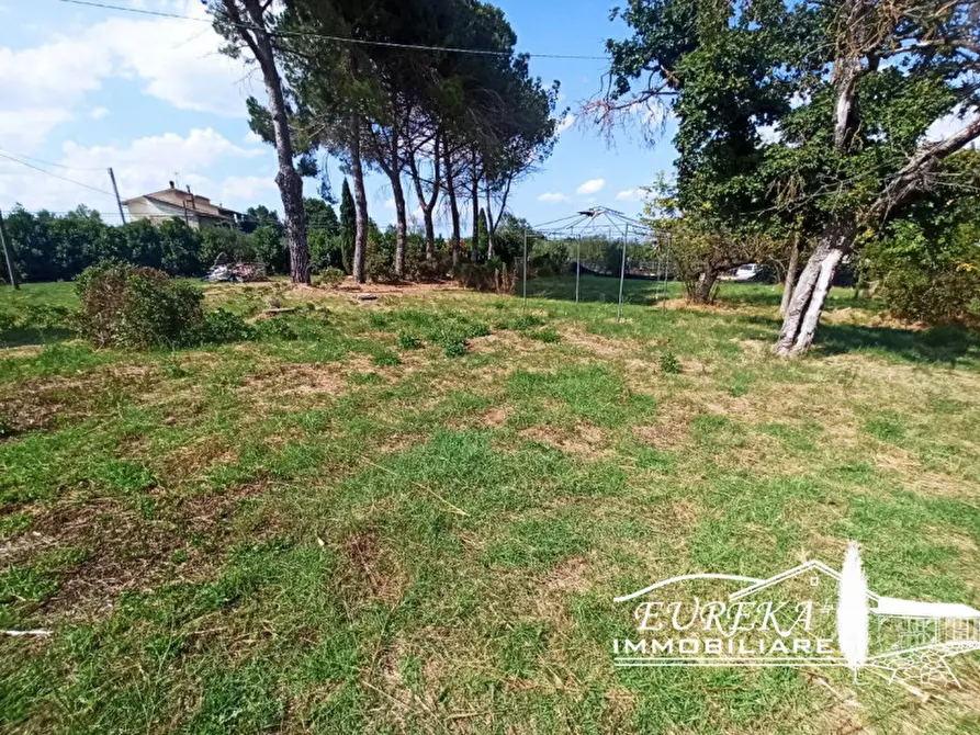 Immagine 23 di Casa indipendente in vendita  in LOCALITà PESCIA a Castiglione Del Lago