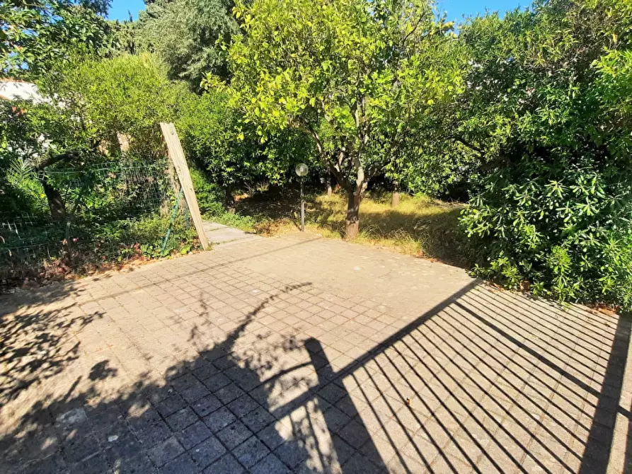 Immagine 12 di Villa in affitto  in Via Pazienza a Palermo