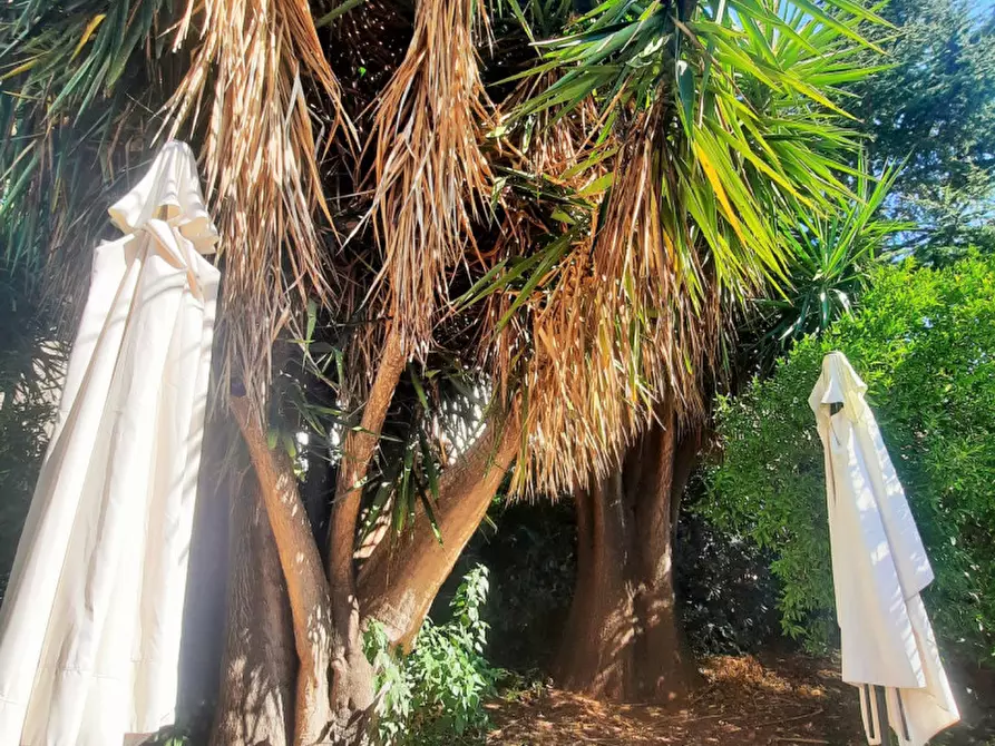 Immagine 16 di Villa in affitto  in Via Pazienza a Palermo