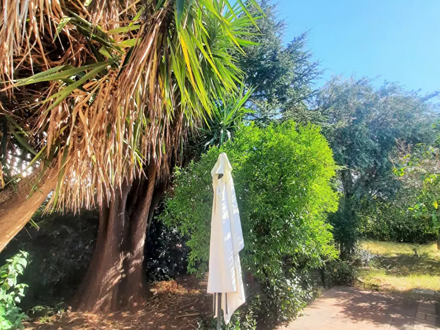 Immagine 17 di Villa in affitto  in Via Pazienza a Palermo