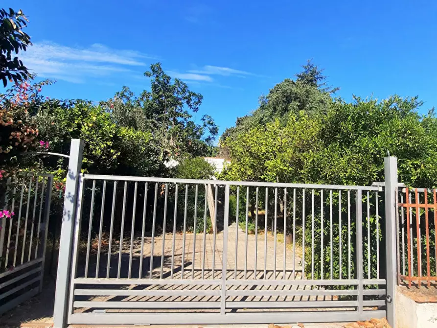 Immagine 18 di Villa in affitto  in Via Pazienza a Palermo