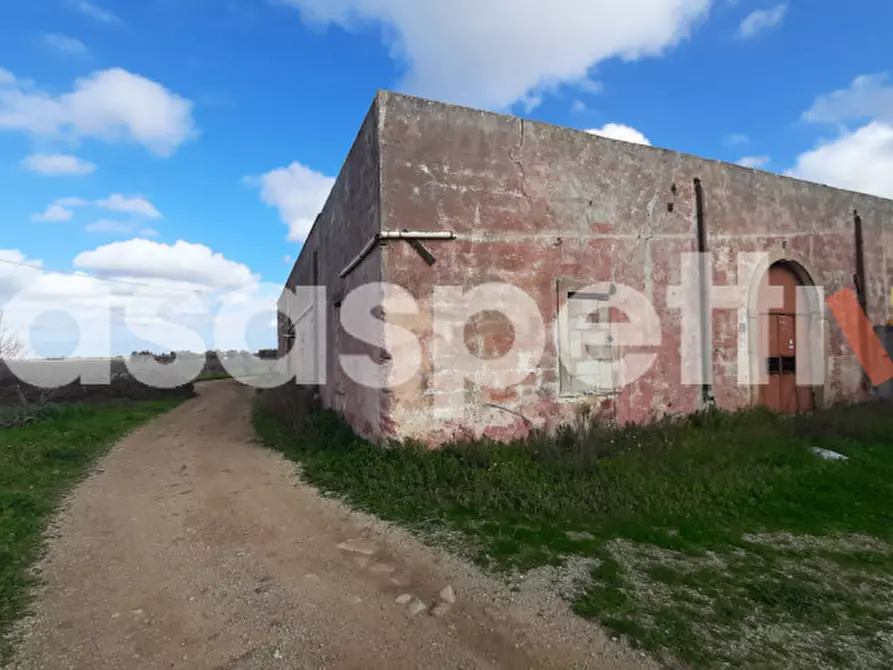 Immagine 2 di Rustico / casale in vendita  in Località Casino Perrone snc a Salice Salentino