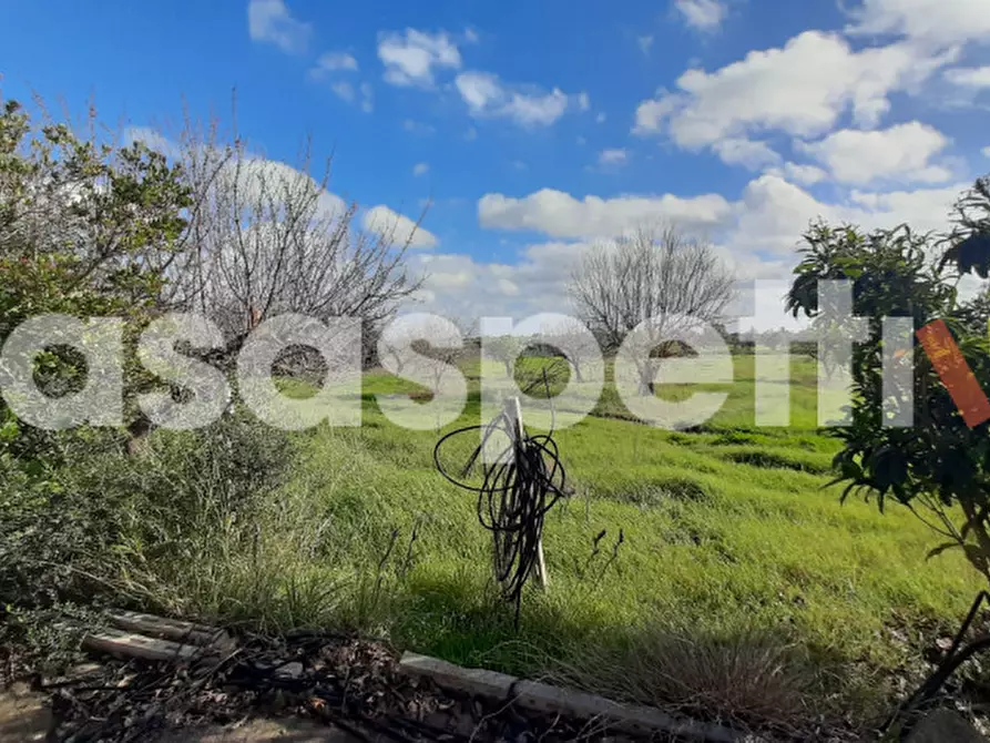 Immagine 5 di Rustico / casale in vendita  in Località Casino Perrone snc a Salice Salentino