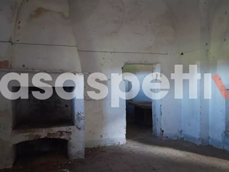 Immagine 6 di Rustico / casale in vendita  in Località Casino Perrone snc a Salice Salentino