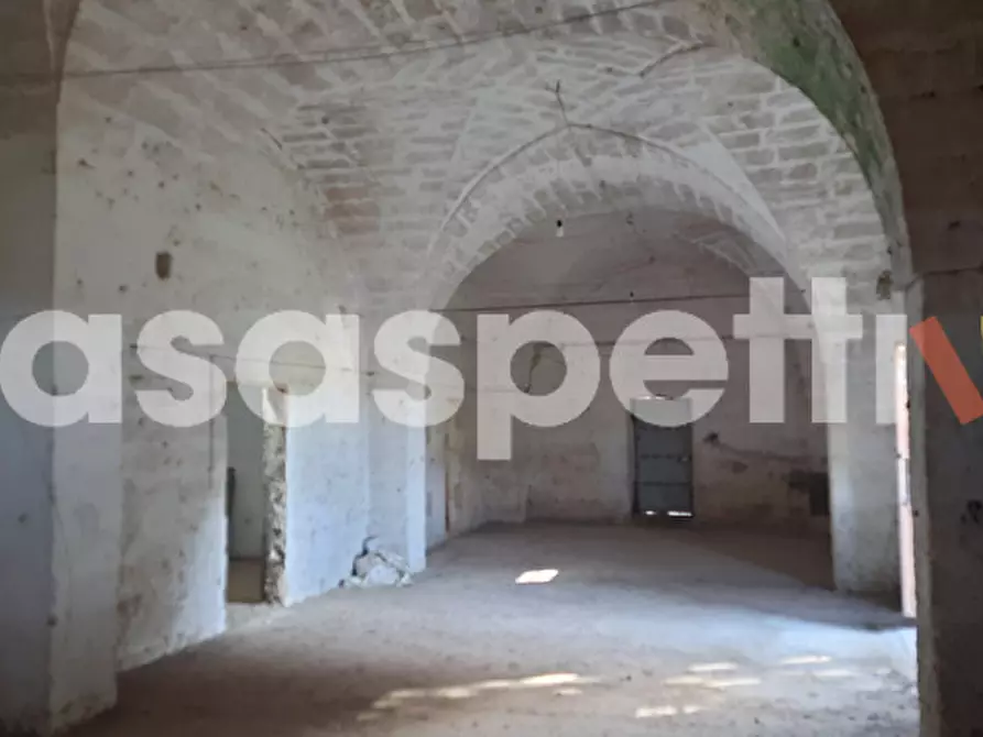 Immagine 8 di Rustico / casale in vendita  in Località Casino Perrone snc a Salice Salentino