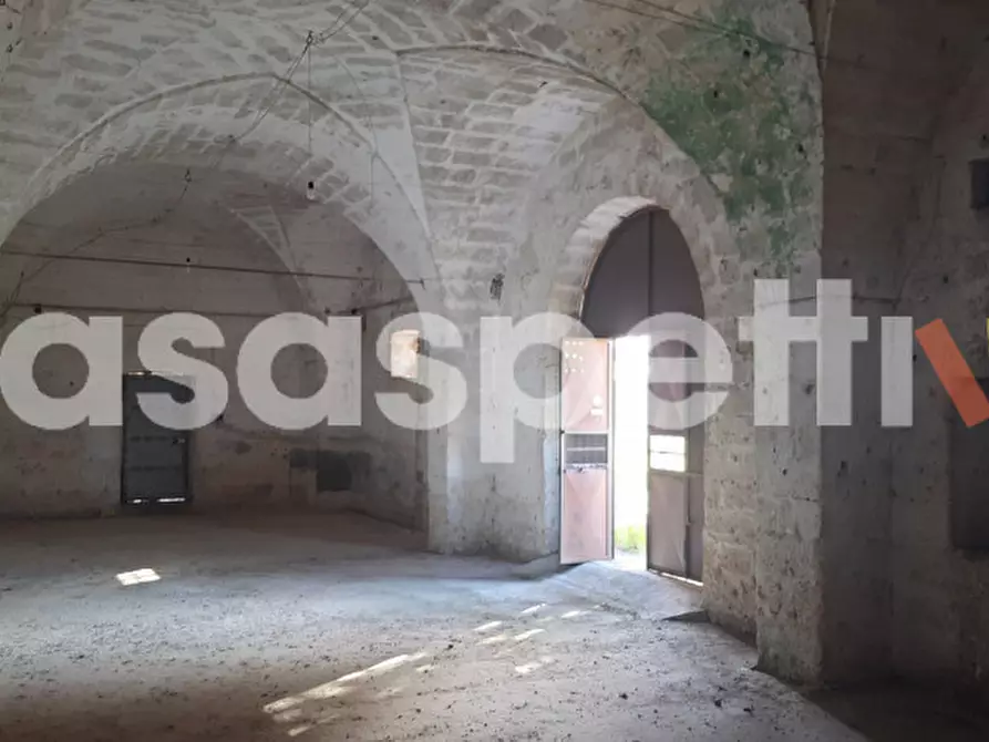 Immagine 9 di Rustico / casale in vendita  in Località Casino Perrone snc a Salice Salentino