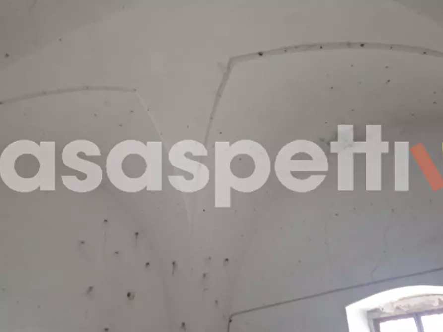 Immagine 14 di Rustico / casale in vendita  in Località Casino Perrone snc a Salice Salentino