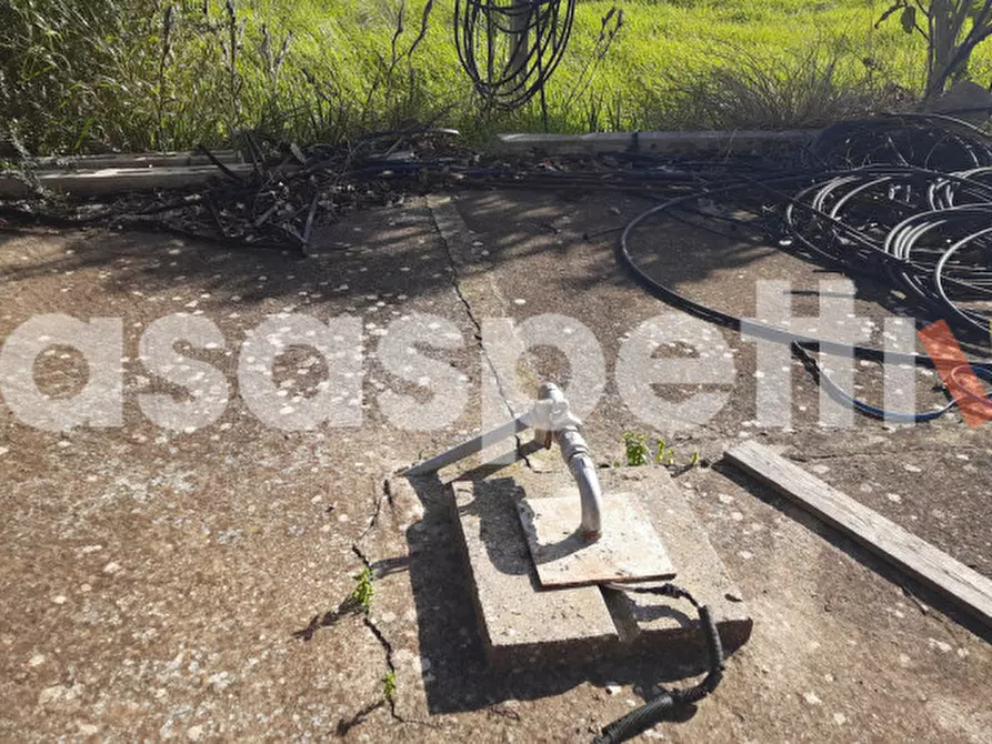 Immagine 16 di Rustico / casale in vendita  in Località Casino Perrone snc a Salice Salentino