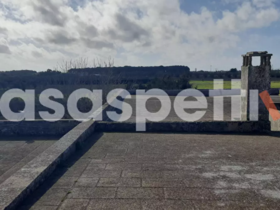 Immagine 20 di Rustico / casale in vendita  in Località Casino Perrone snc a Salice Salentino