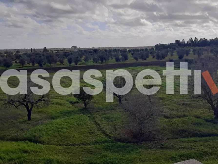 Immagine 21 di Rustico / casale in vendita  in Località Casino Perrone snc a Salice Salentino