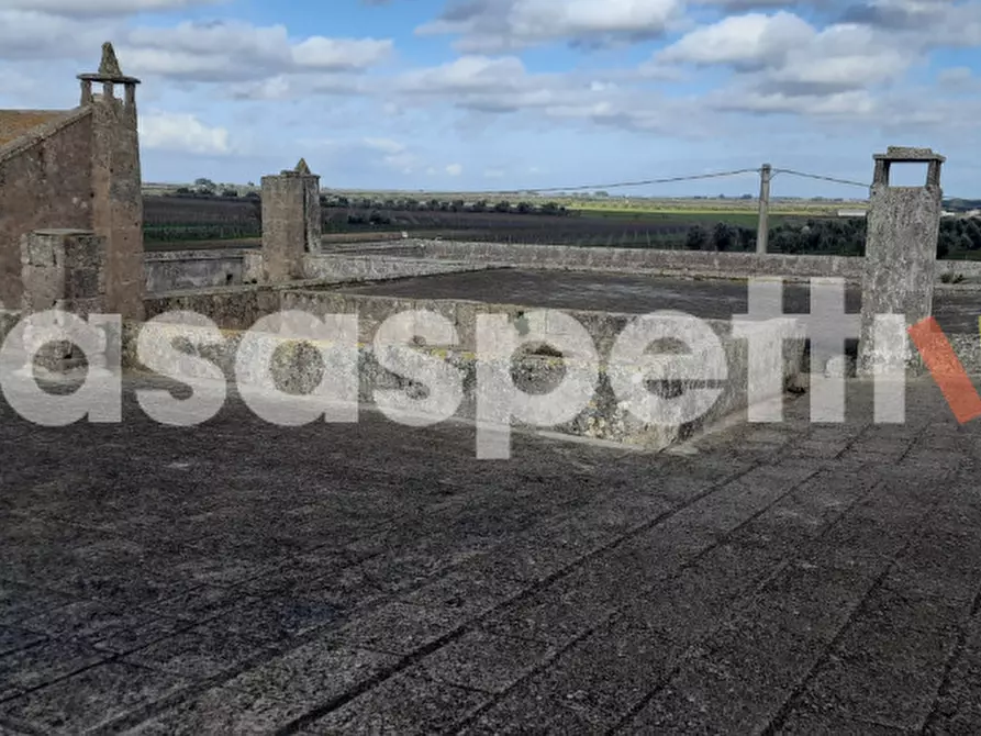 Immagine 22 di Rustico / casale in vendita  in Località Casino Perrone snc a Salice Salentino