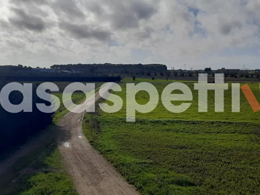 Immagine 23 di Rustico / casale in vendita  in Località Casino Perrone snc a Salice Salentino