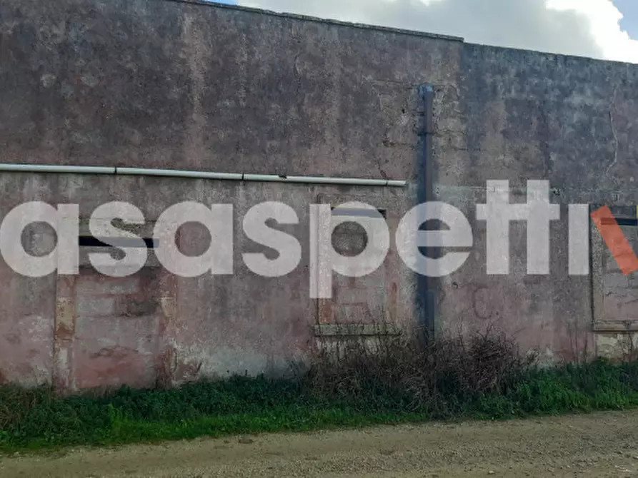 Immagine 25 di Rustico / casale in vendita  in Località Casino Perrone snc a Salice Salentino