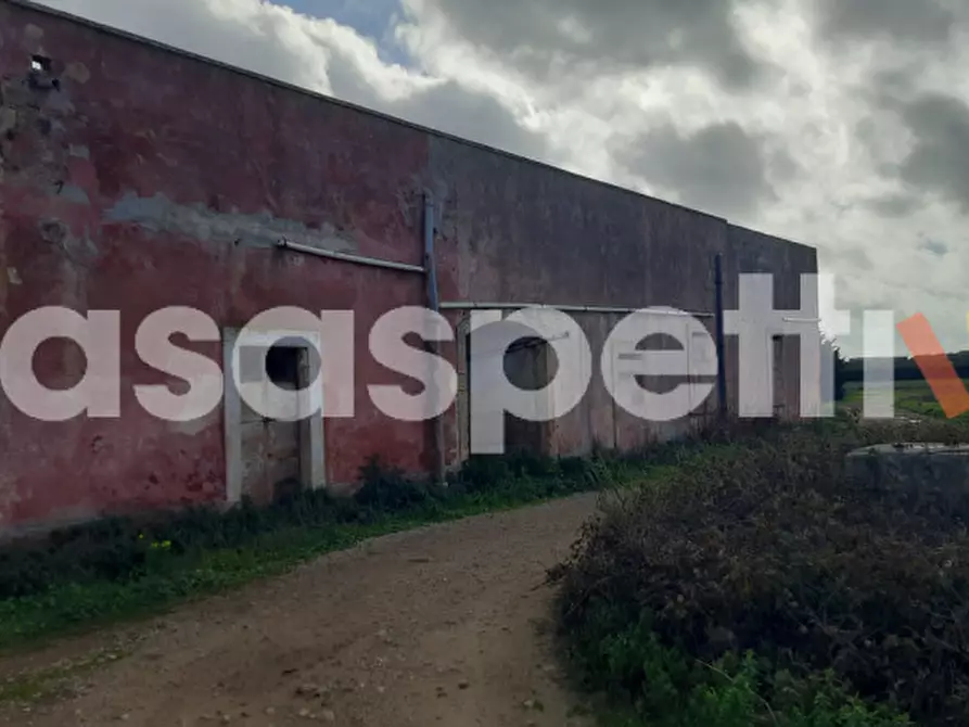 Immagine 26 di Rustico / casale in vendita  in Località Casino Perrone snc a Salice Salentino