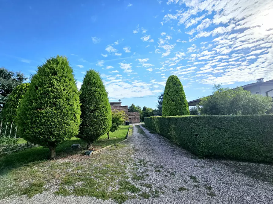 Immagine 15 di Casa bifamiliare in vendita  in Via Cabronziero a Merlara