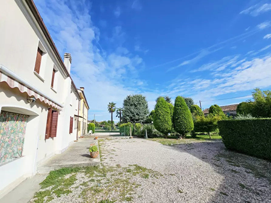 Immagine 21 di Casa bifamiliare in vendita  in Via Cabronziero a Merlara