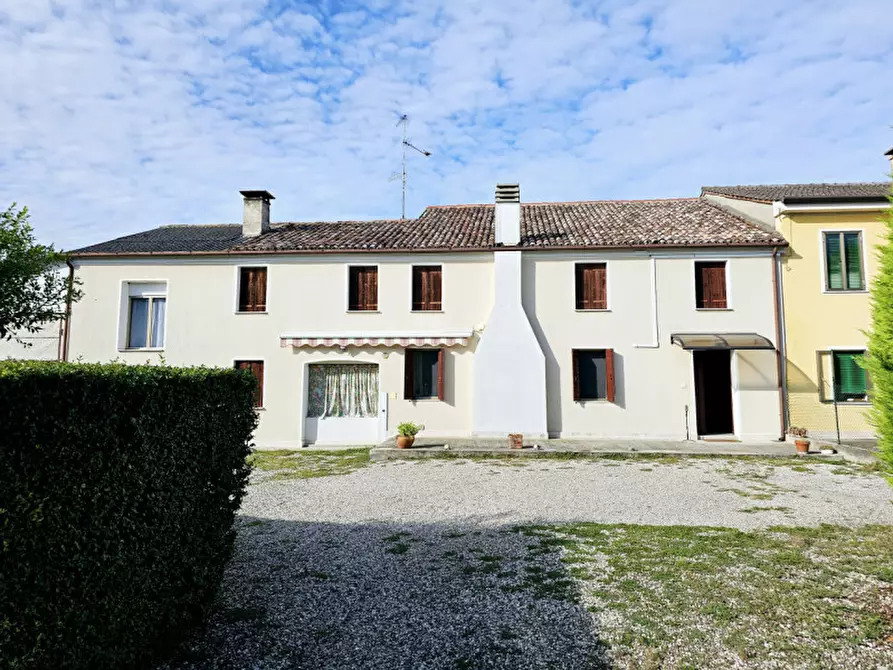 Immagine 22 di Casa bifamiliare in vendita  in Via Cabronziero a Merlara